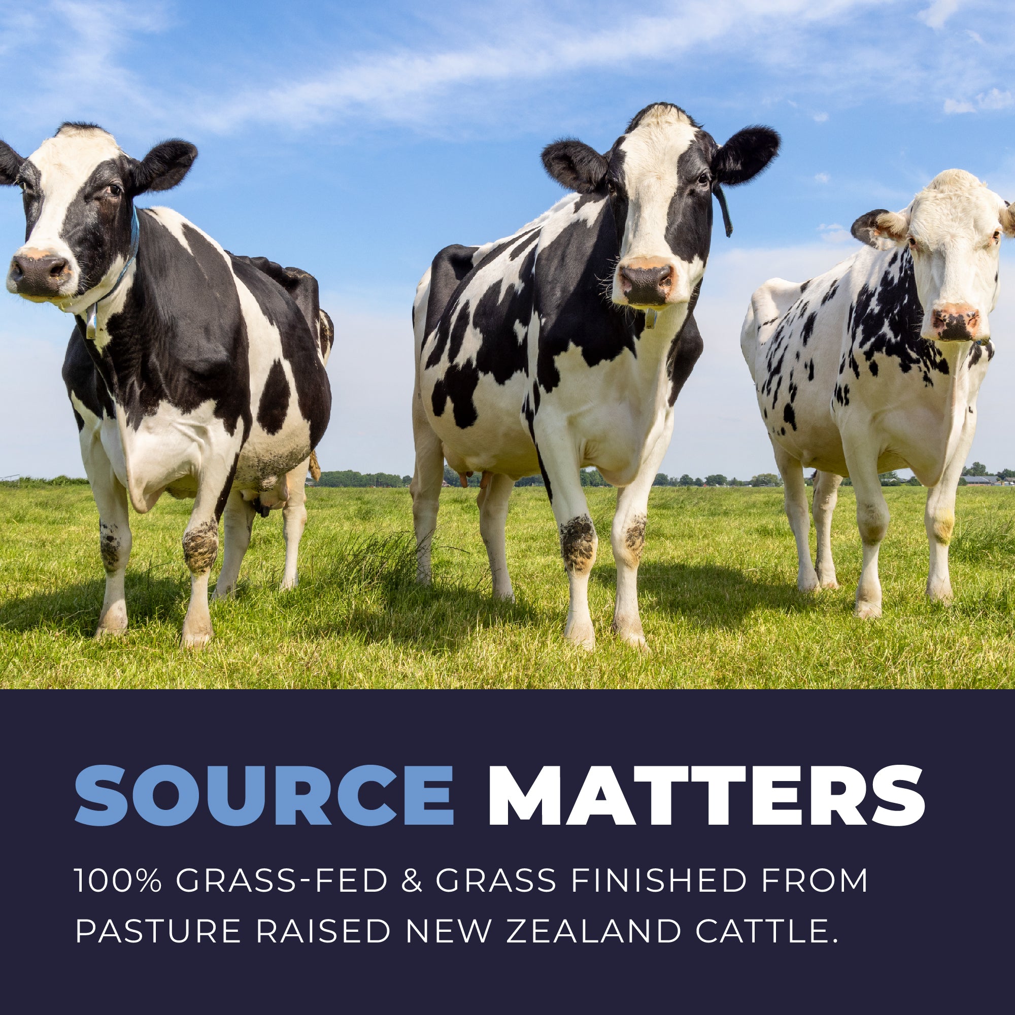Three cows standing in a grassy field with a blue sky, and text about grass-fed and grass-finished cattle.