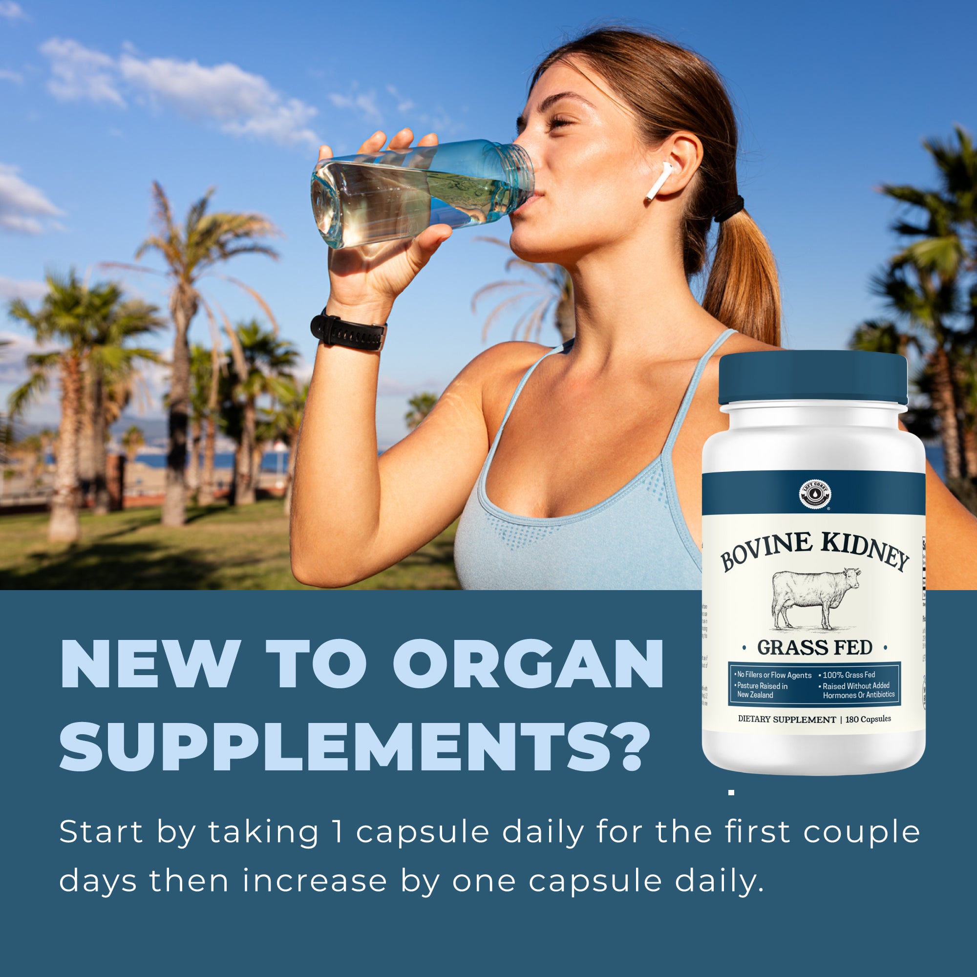 Bovine Kidney Capsules