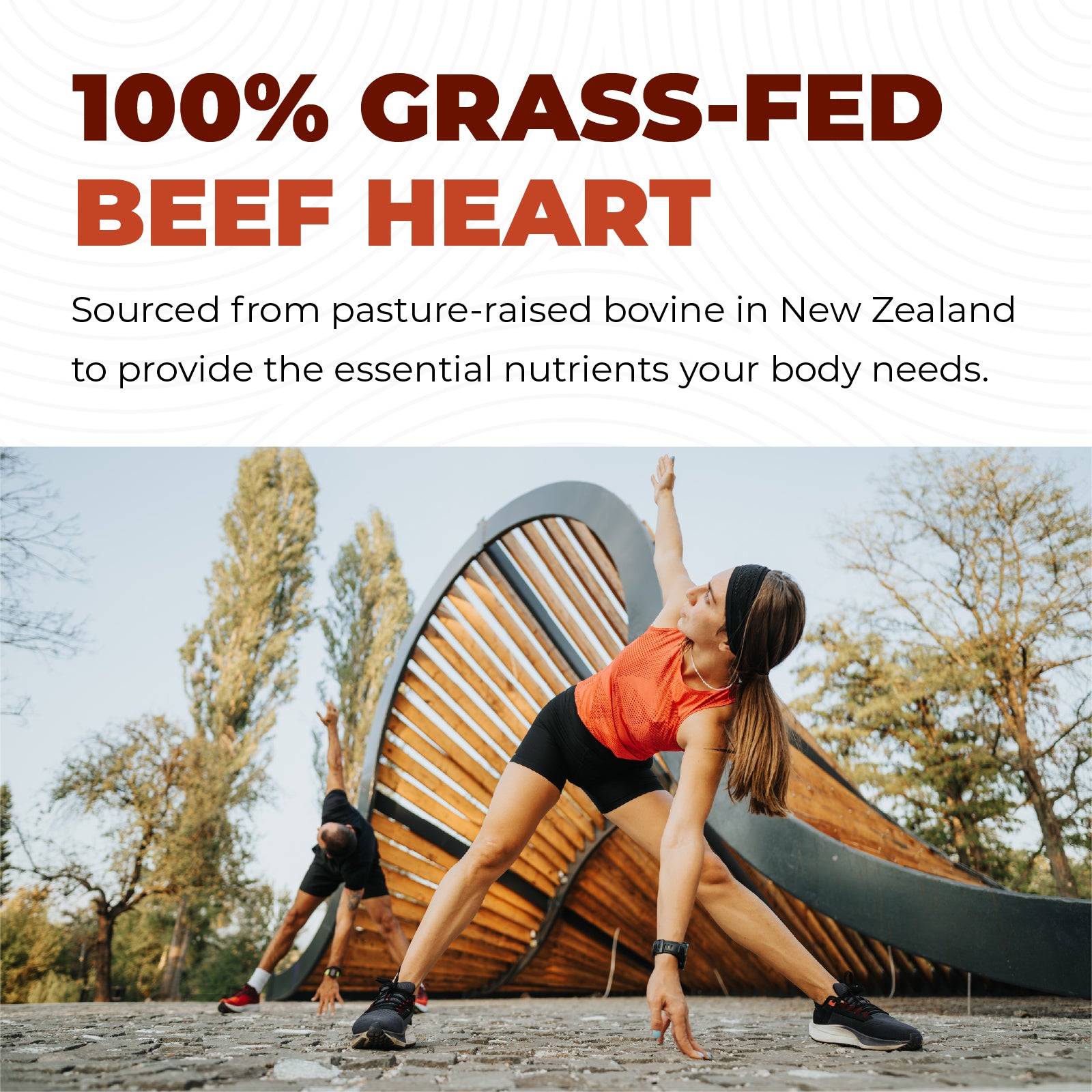Bovine Heart Capsules