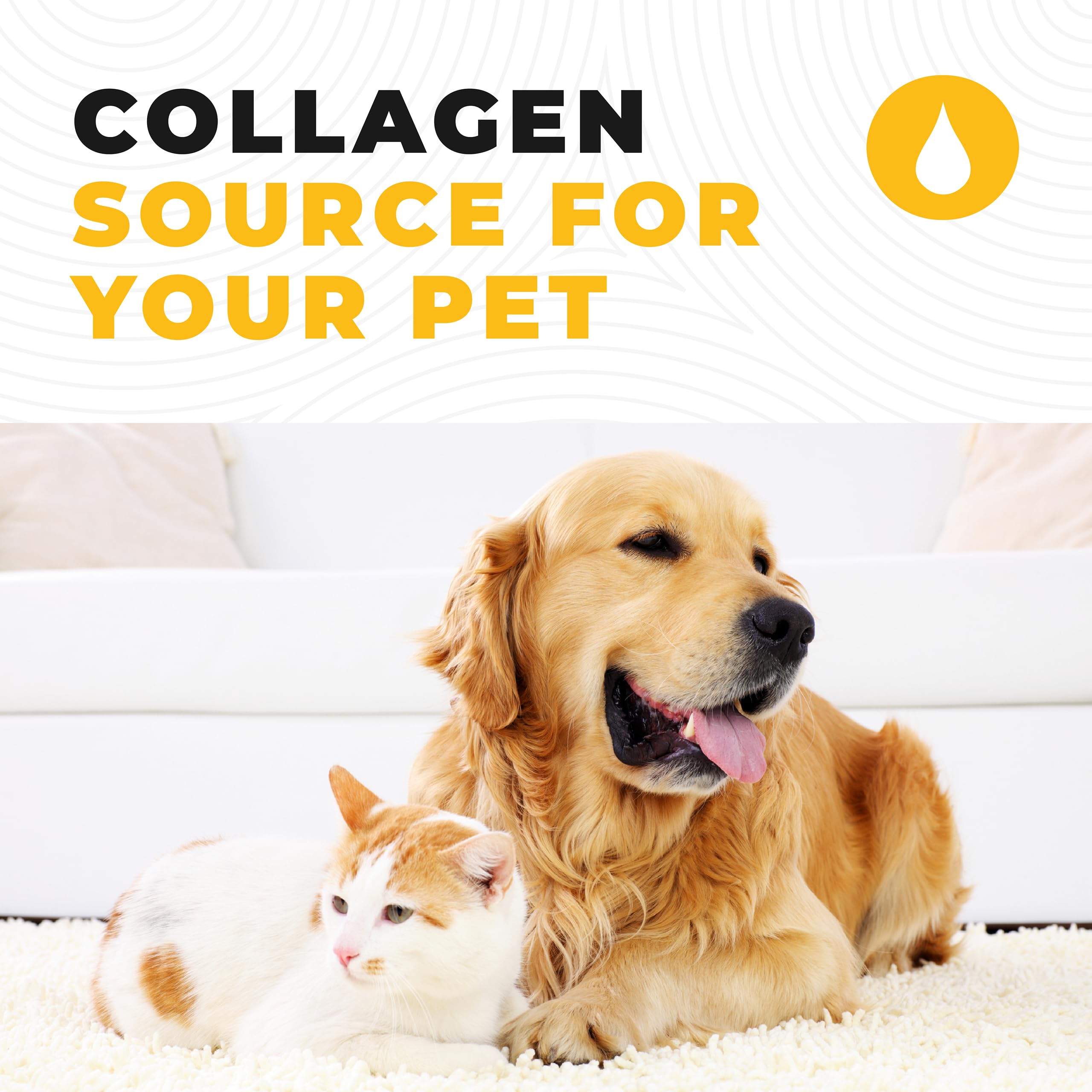 Bone Broth For Dogs and Cats, Chicken