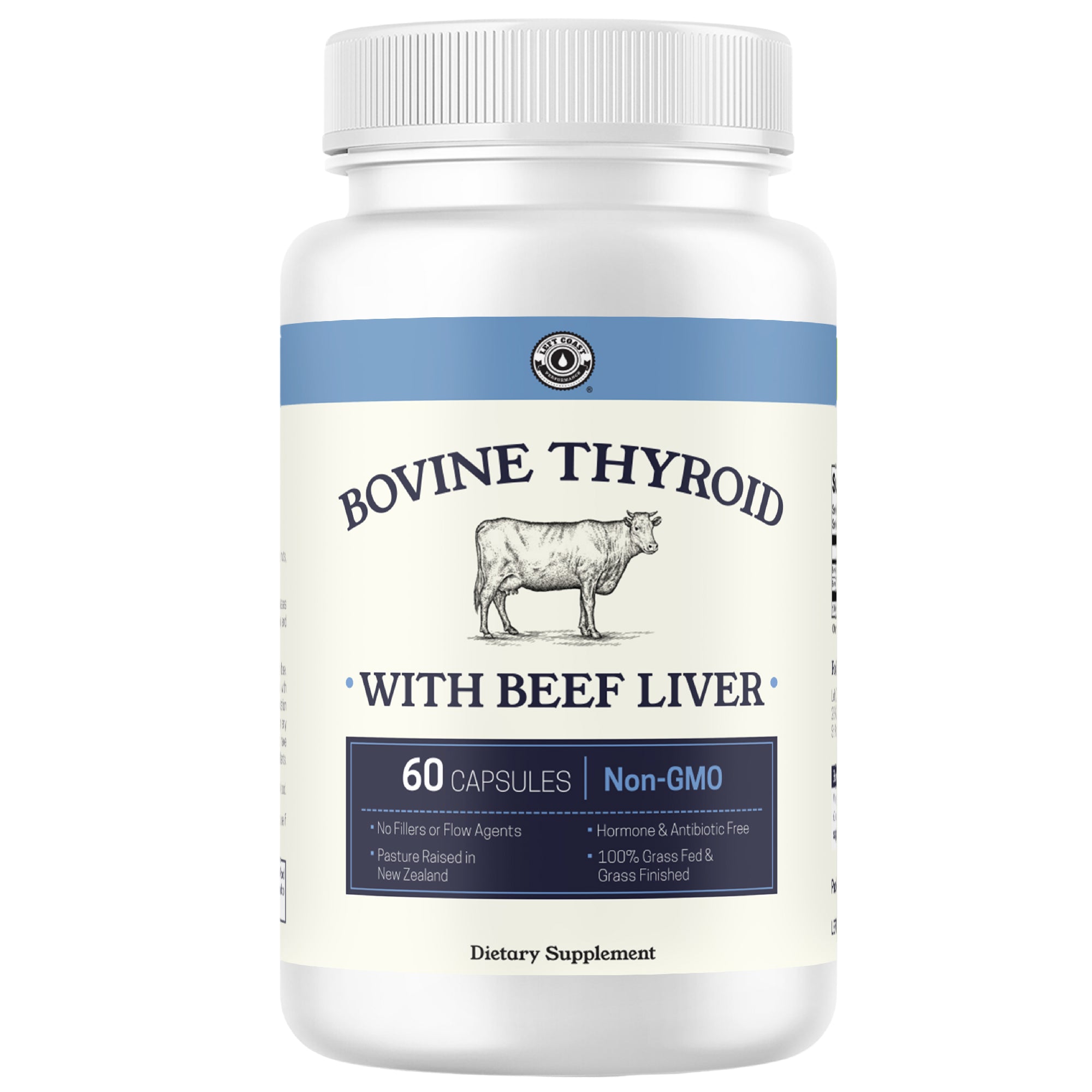 Bovine Thyroid