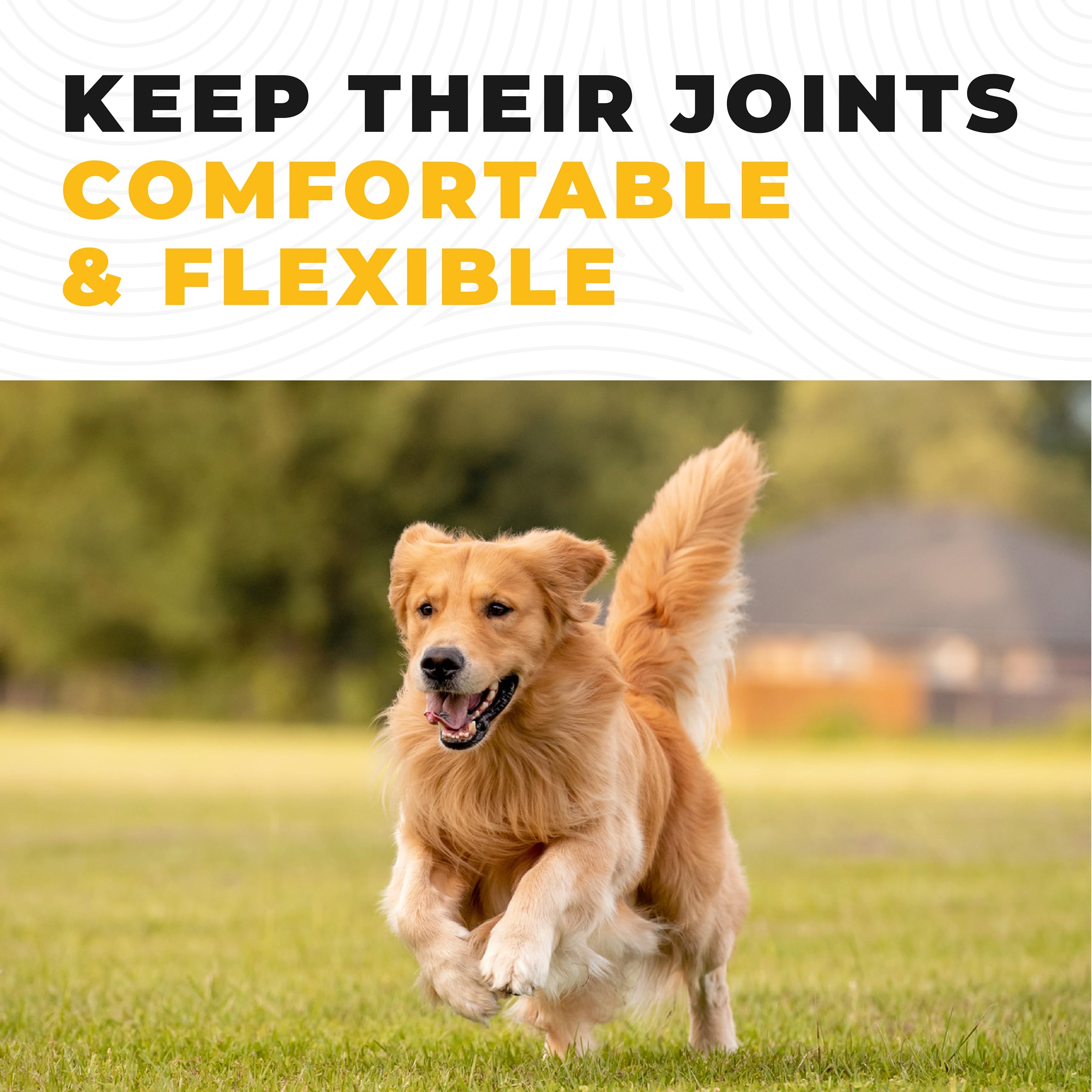 Bone Broth For Dogs and Cats, Chicken