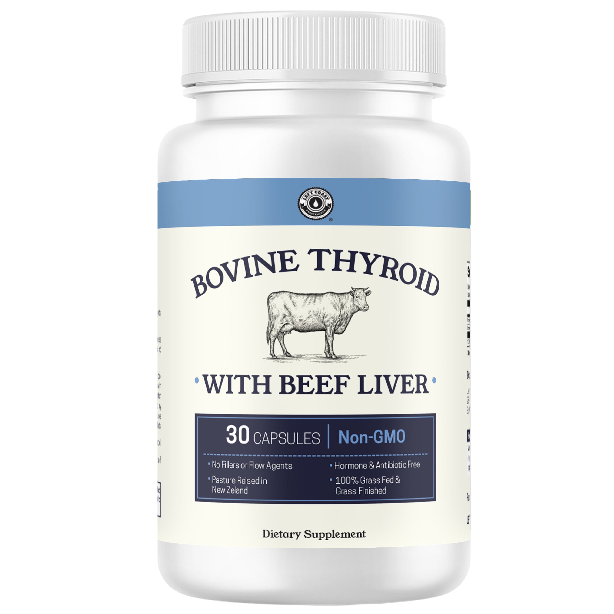 Bovine Thyroid