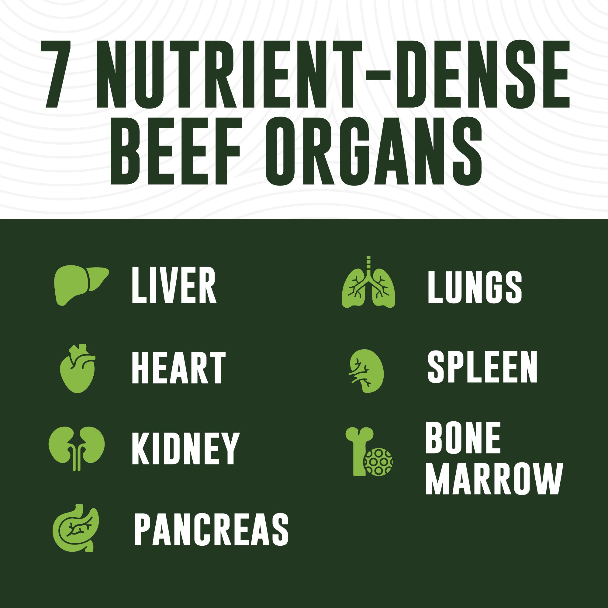 Beef Organ Complex Capsules