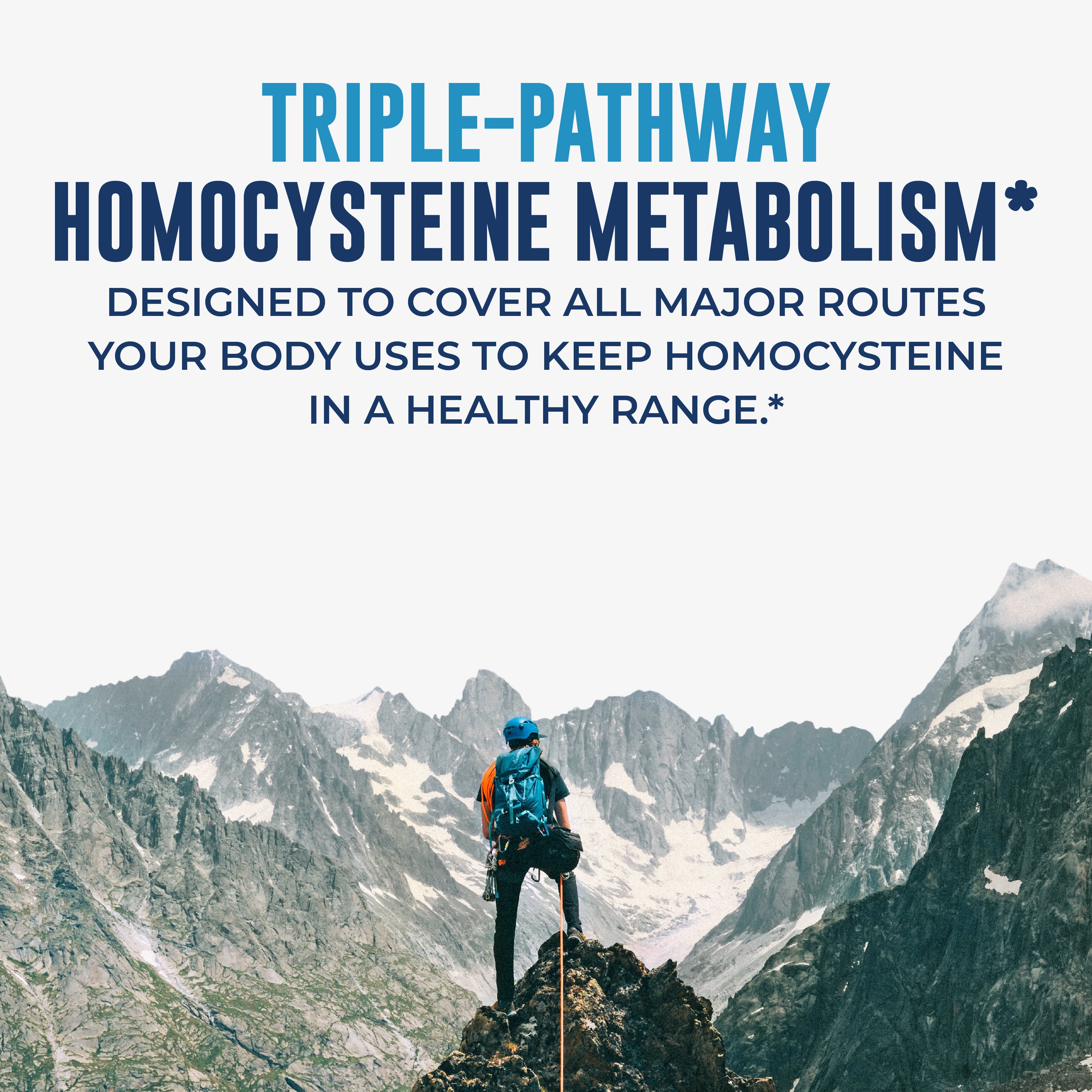 Homocysteine Support Capsules