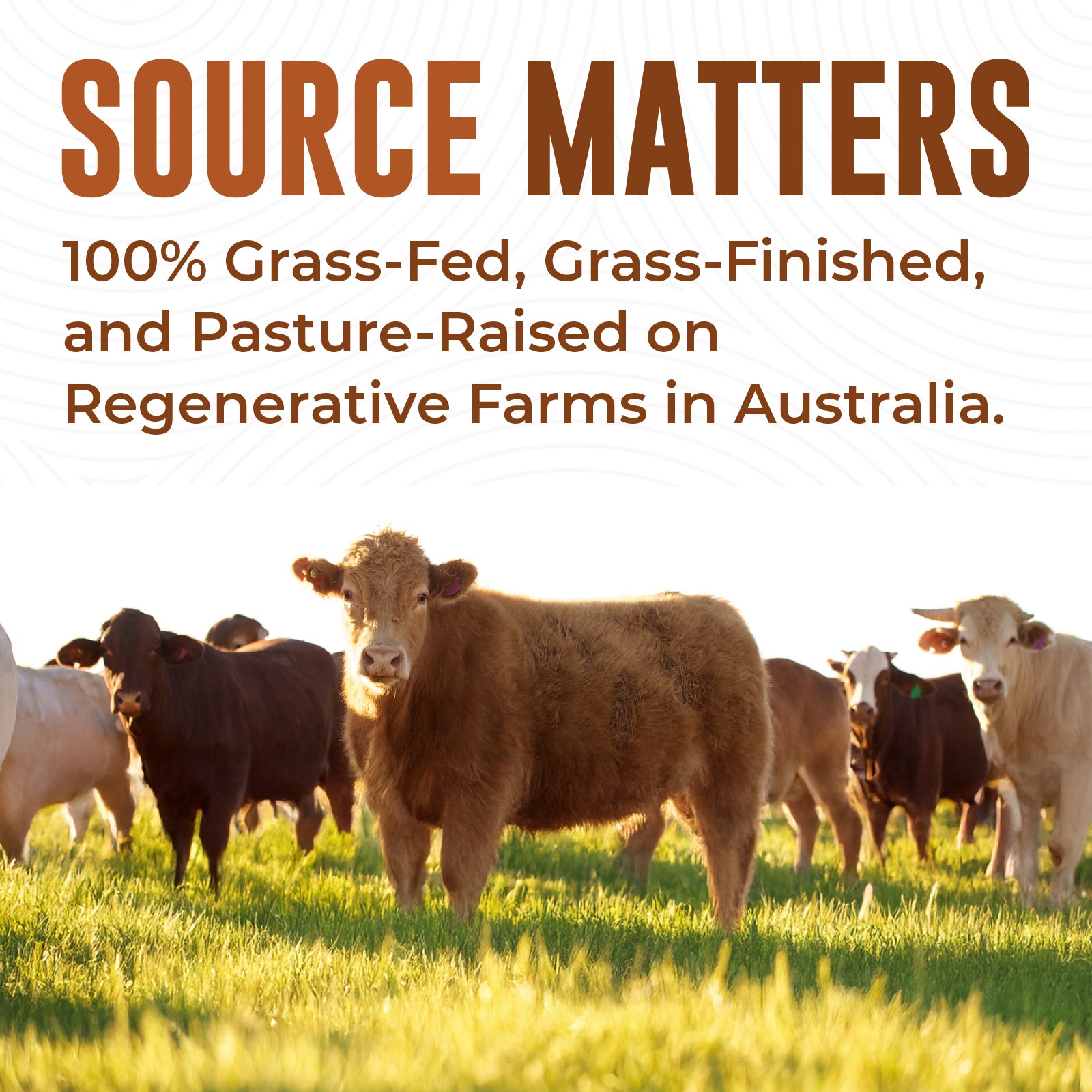 Regenerative Organic Beef Liver