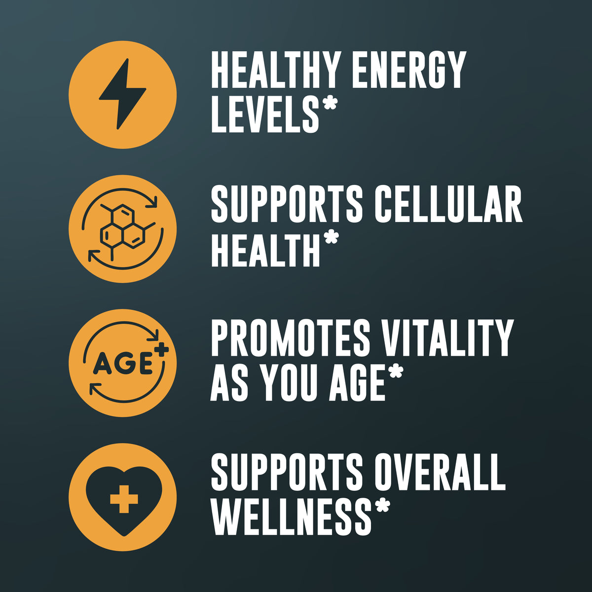 NMN 500mg Capsules