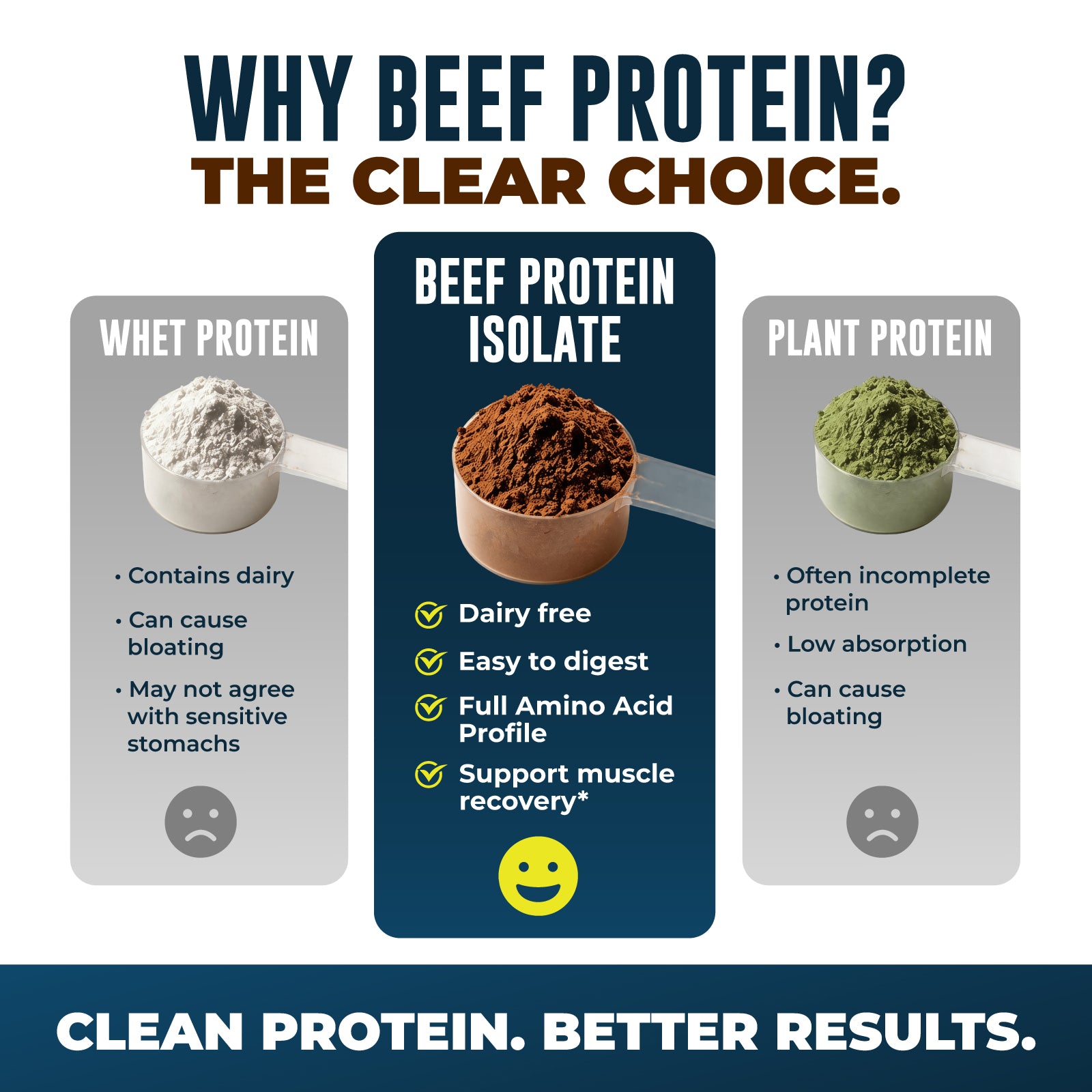 Beef Protein Isolate, Chocolate